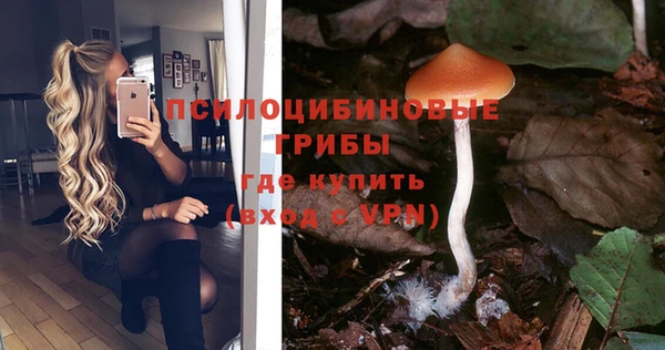 винт Алзамай