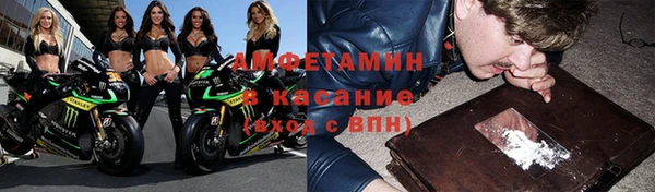 винт Алзамай