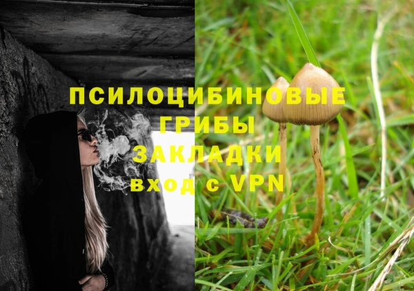 винт Алзамай