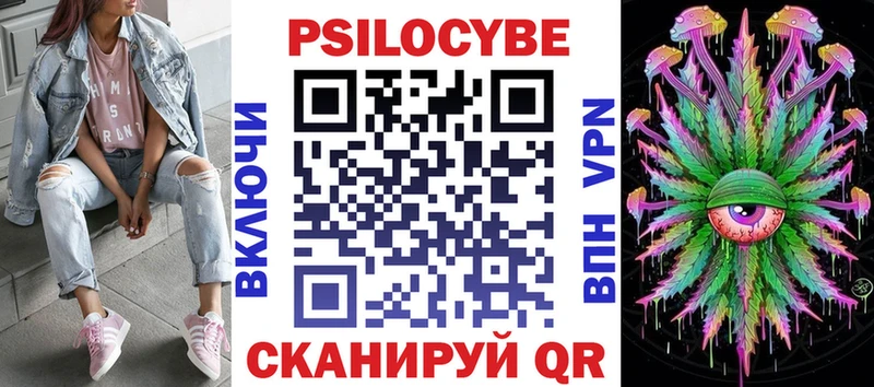 Псилоцибиновые грибы Psilocybe  Кола 